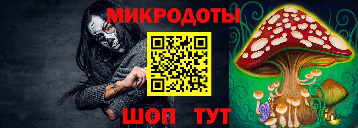 Галлюциногенные грибы Psilocybine cubensis Мирный