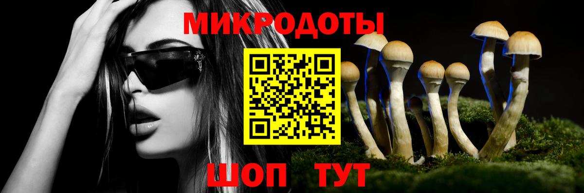 Мирный  Галлюциногенные грибы Magic Shrooms  Вход с VPN 
